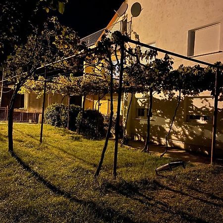 Entire Spacious Apartment With Free Parking Podgorica Extérieur photo